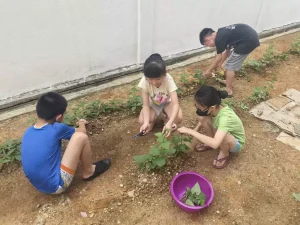 img-20250405-wa0010-67fbe1467d875