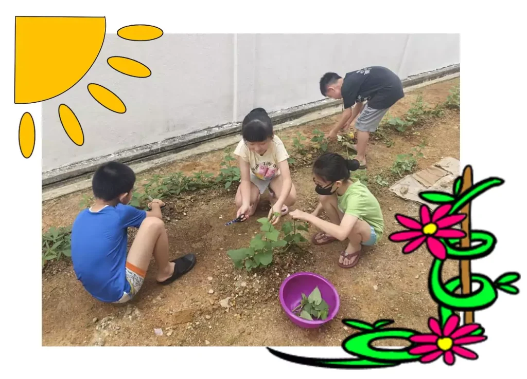 SKC Care Centre Plant